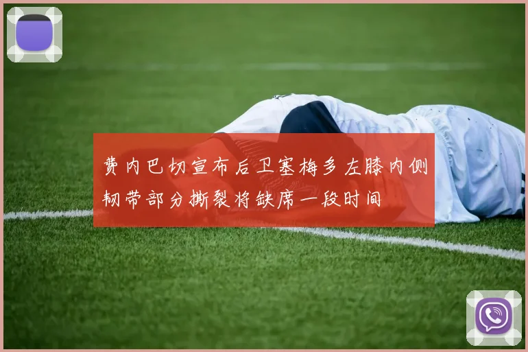 费内巴切宣布后卫塞梅多左膝内侧韧带部分撕裂将缺席一段时间