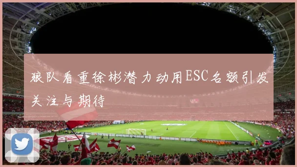狼队看重徐彬潜力动用ESC名额引发关注与期待